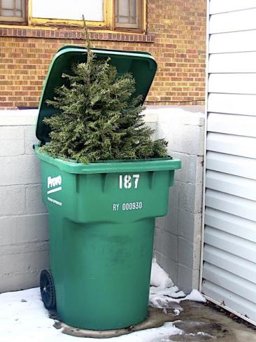 DeadChristmasTrees(10)